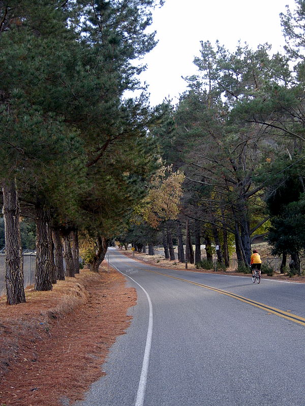 Road
